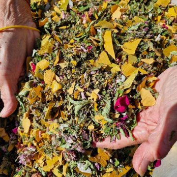 Visite : Les trésors aromatiques sauvages