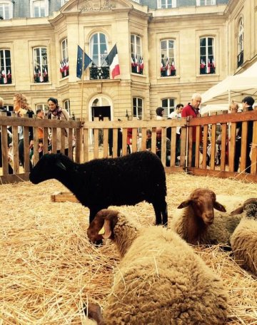 Patrimoine naturel : immersion dans une ferme pédagogique