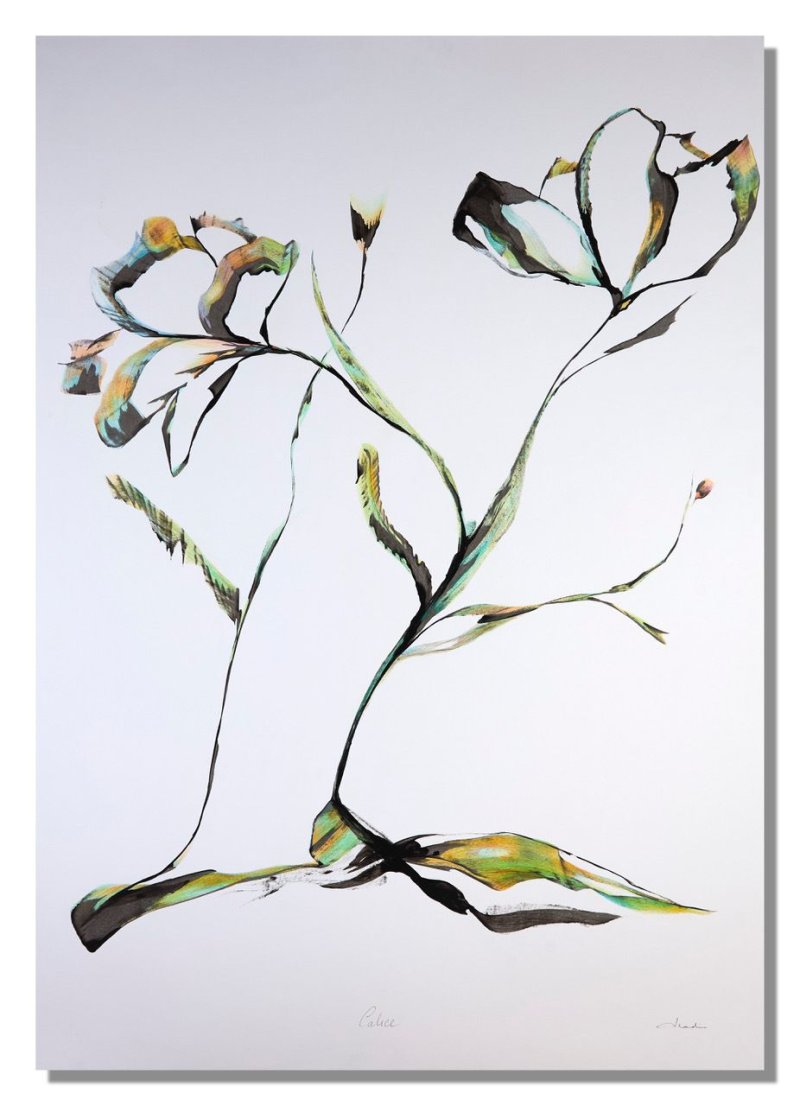 Exposition "A fleur de" - Amandine Mettier