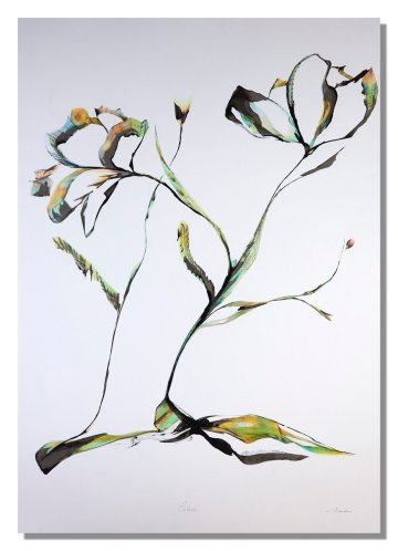 Exposition "A fleur de" - Amandine Mettier