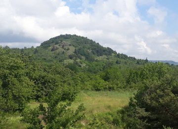 Visite guidée "les ruines du théâtre antique de Montaudoux"