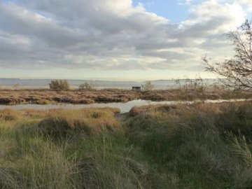 Visite libre sur le territoire du Bolmon