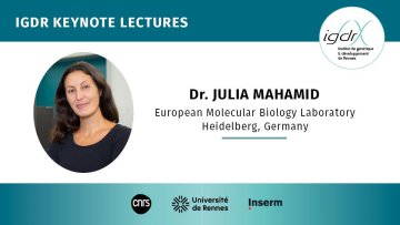 IGDR Keynote Lectures - Dr. Julia Mahamid, European Molecular Biology Laboratory