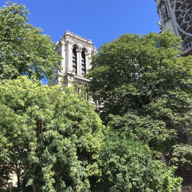 Groupe Laudato Si