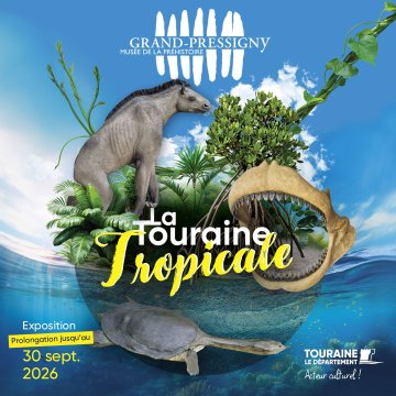 Exposition temporaire « La Touraine Tropicale, il y a 15 millions d'années vivaient des animaux extraordinaires »