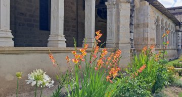 [Spectacle] Le jardin du cloître : une renaissance