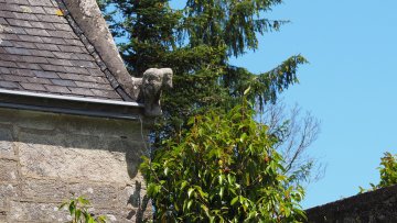 Attention, chantier habité ! Quand patrimoine rime avec biodiversité