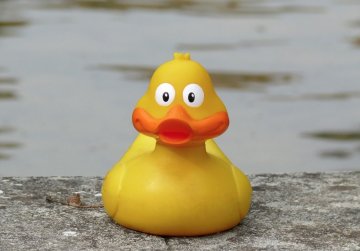 A la recherche des canards perdus, cartographie 1