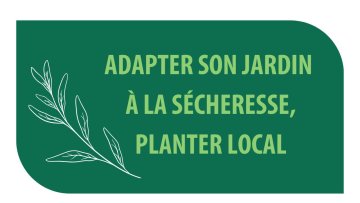 Adapter son jardin à la sécheresse, planter local
