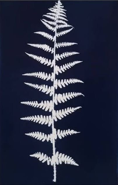 Atelier : Découverte du cyanotype
