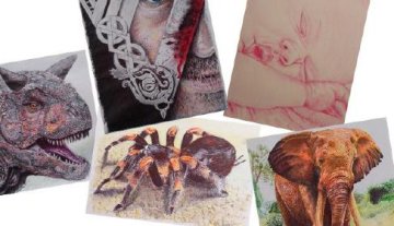 Exposition de l'artiste "Caribounath"