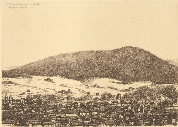 Découverte libre de l'exposition : "Promenade dans les Vosges. Représenter le paysage"