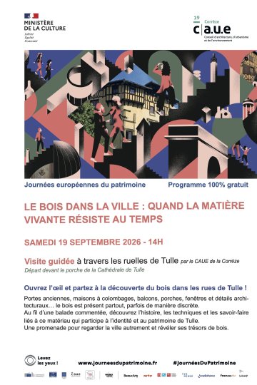 [Balade patrimoniale] Le bois dans la Ville : quand la matière vivante résiste au temps