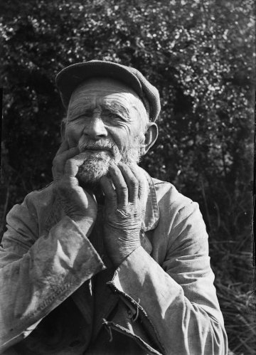 Le monde rural dans l’objectif, regard des peintres et photographes 
sur la vie agricole au 20e siècle