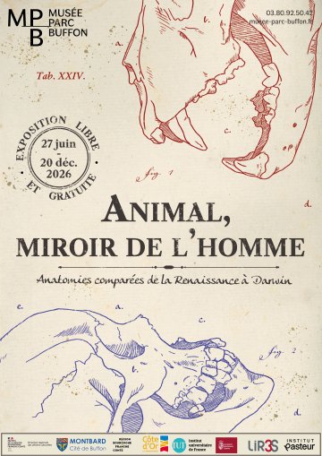 Animal, miroir de l'homme, Anatomies comparées de la Renaissance à Darwin