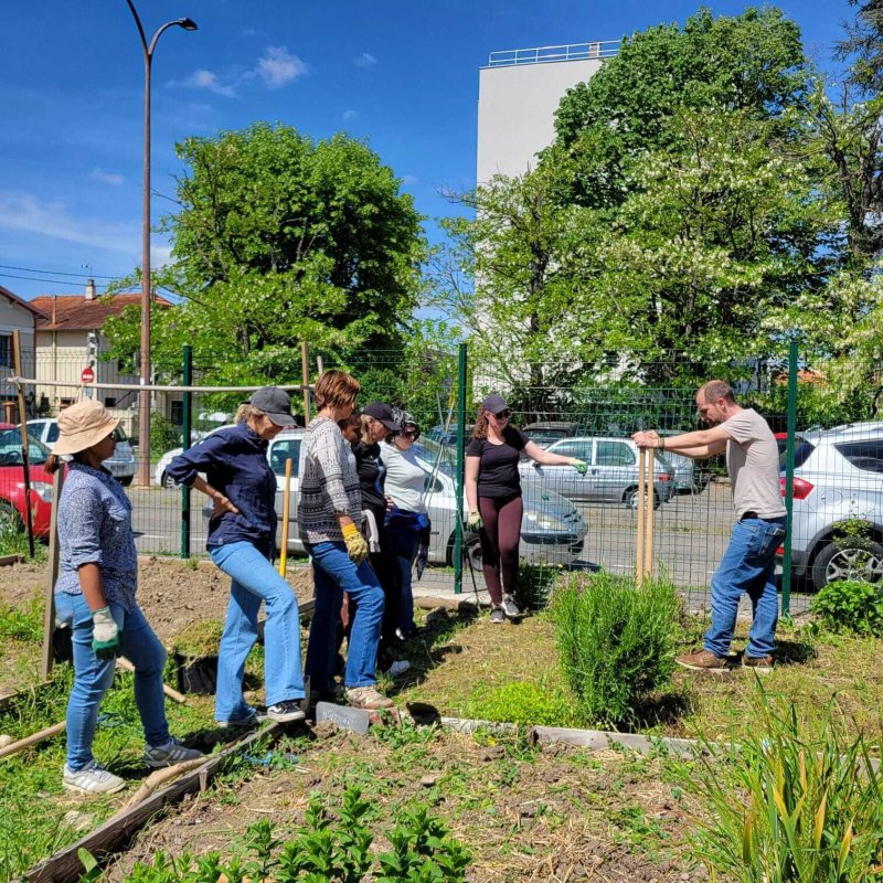 Atelier : Comment jardiner quand on n'y connaît rien ?