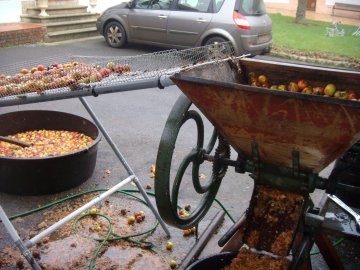 Pressurage de pommes pour faire le cidre