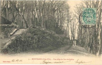 Jeu de piste photographies anciennes du Parc Buffon