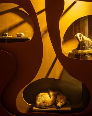 Visite commentée de l'exposition Sols