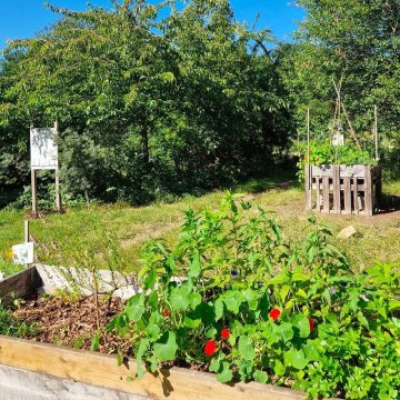 Visite commentée : mémoire d'un jardin partagé