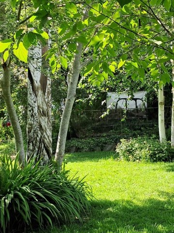 Photos au Jardin