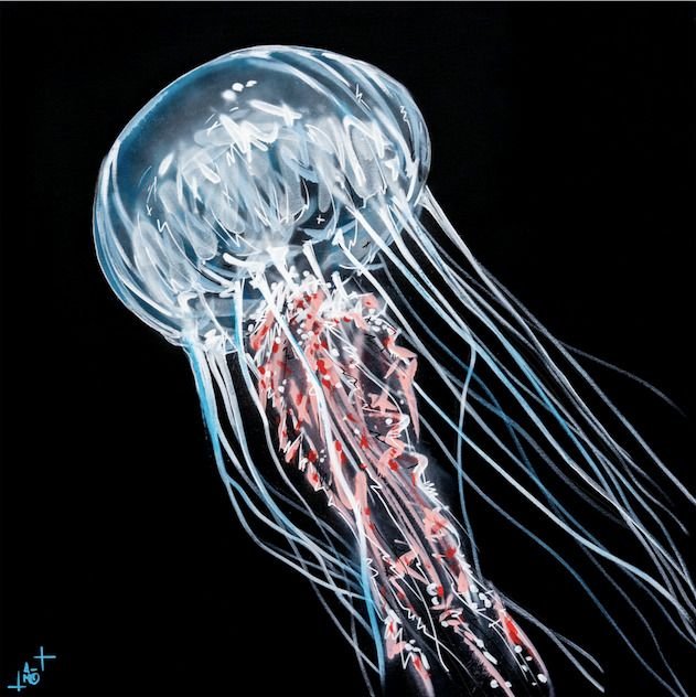 Bleu Sauvage : le street art s'invite au Musée Mer Marine