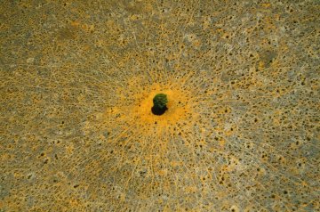 Laudato Si' - Exposition de photographies de Yann Arthus-Bertrand
