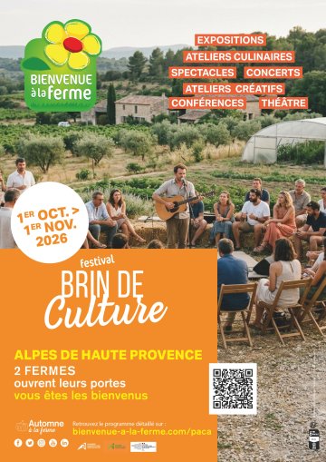 04 - Brin de culture