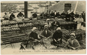 Les Penn Sardin et la « belle grève de femmes », projection-rencontre
