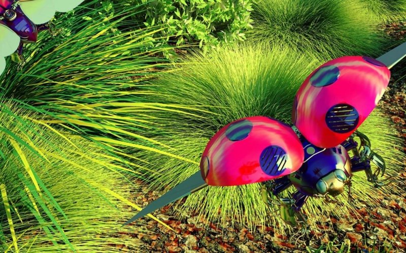 Atelier - Bio-inspiration : la nature modèle de la science