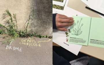 L'Automne de la Science à la Canopée : atelier de graffiti botanique