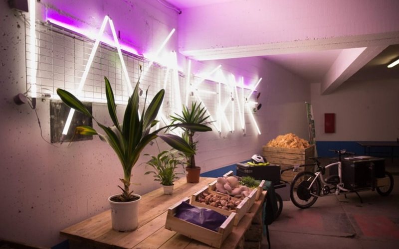 Visite - À la découverte de la ferme urbaine « La Caverne »