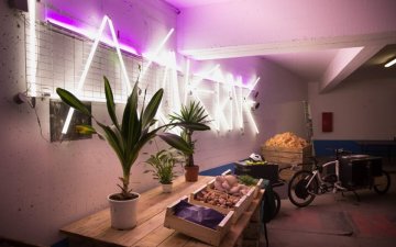 Visite - À la découverte de la ferme urbaine « La Caverne »