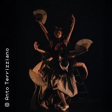 Ballet Flamenco -  Théâtre des Champs-Elysées, Paris