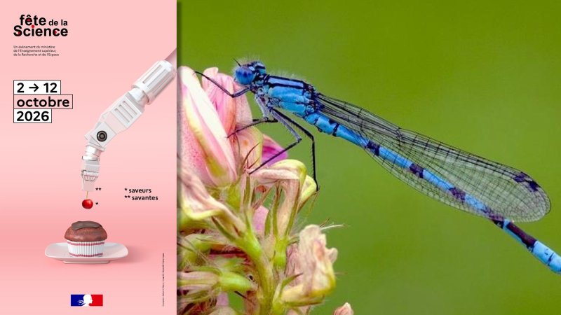 Services écosytémiques rendus par les insectes aquatiques #FDS2026