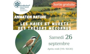 Animation nature / les haies et murets : des trésors méconnus
