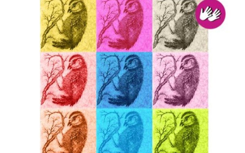 A la manière d'Andy Warhol : atelier de création plastique bilingue LSF/FR