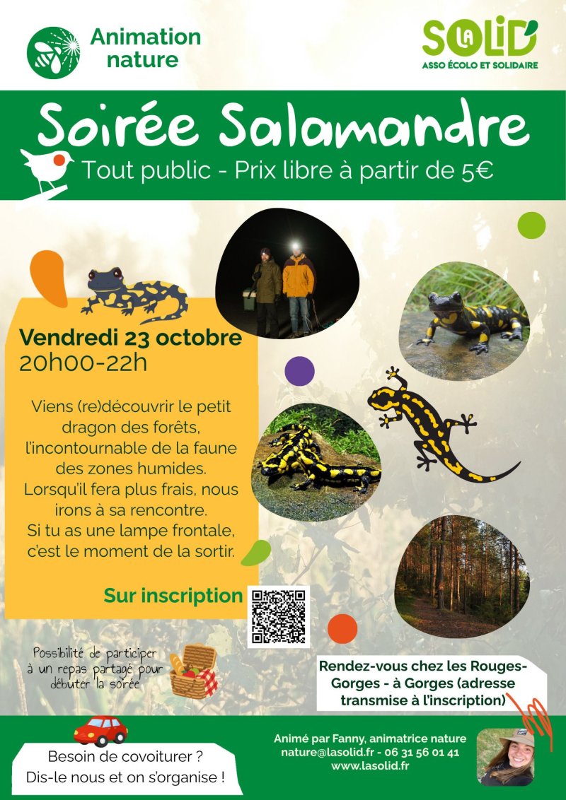 𓆈 Sortie Salamandre 𓆈