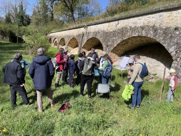 Visite guidée