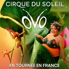 Ovo - Cirque du Soleil - Tournée