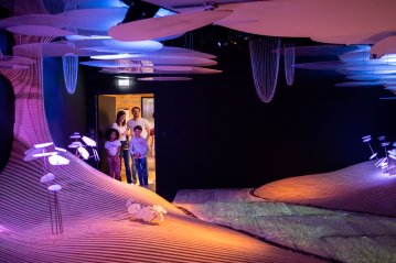 Visite gratuite du Musée Immersif Yves Rocher