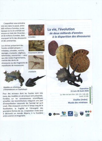 exposition temporaire