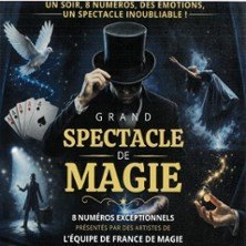 Grand Spectacle de Magie - Théâtre Bonlieu - Annecy