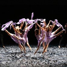 Malandain Ballet Biarritz - L'Amour Sorcier et Don Quichotte