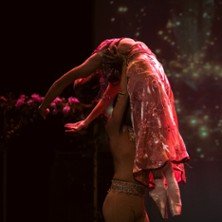 Natraaj - Gala des Artistes