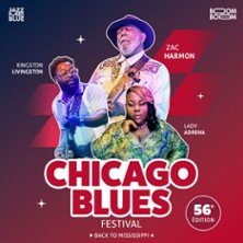 Chicago Blues Festival