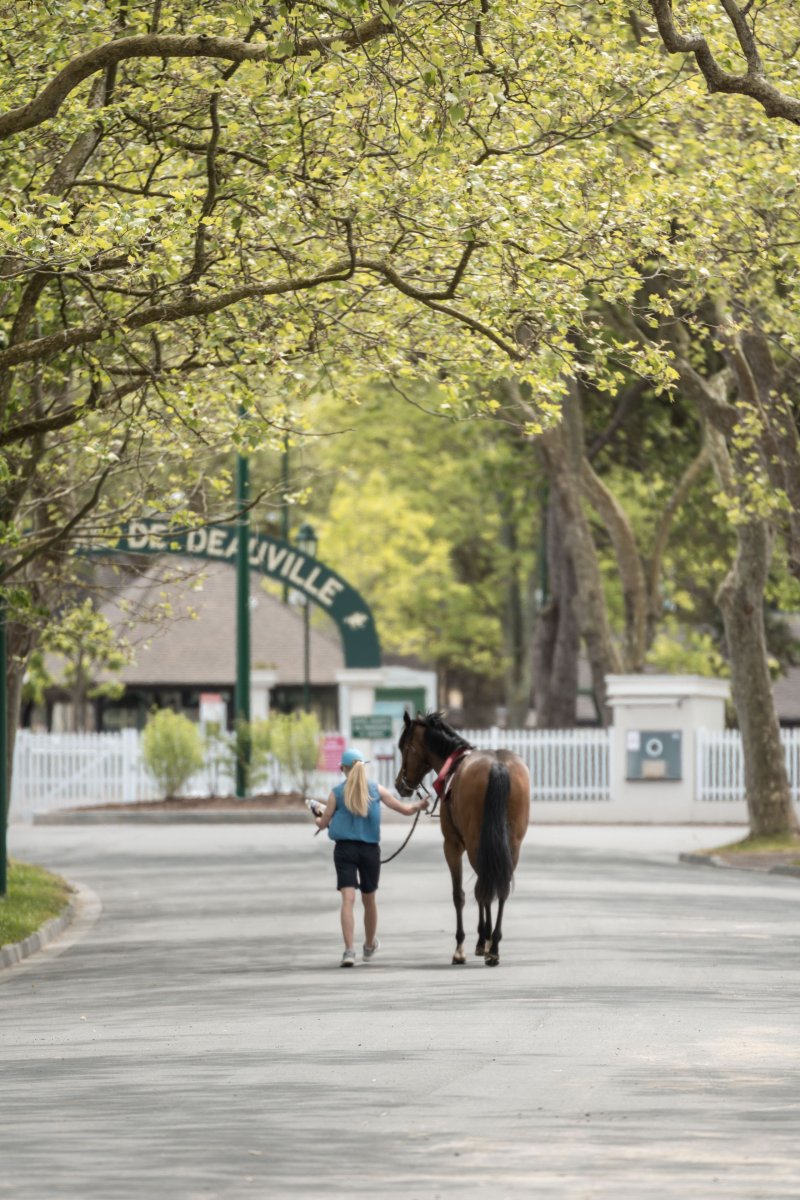 Visite guidée : Deauville, une passion pour le cheval
