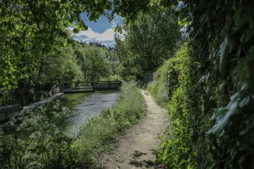 L'Arre : patrimoines d'hier et de demain