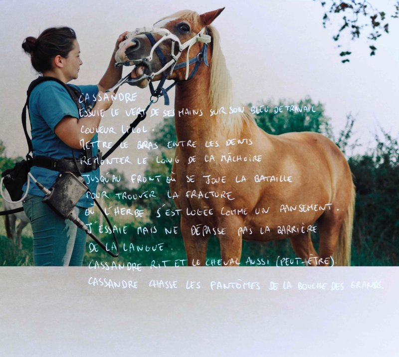 Exposition ‘’Cheval[es] féminin et pluriel’’