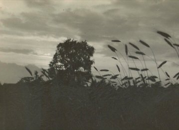 Exposition de Raoul Hausmann (1886-1971), Photographies, La face cachée de l’œuvre - Galerie Gilles Peyroulet & Cie